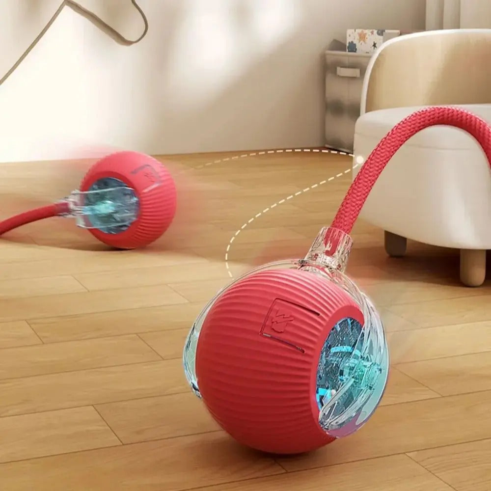 MeowMotion 2.0 – Interactive Cat Toy