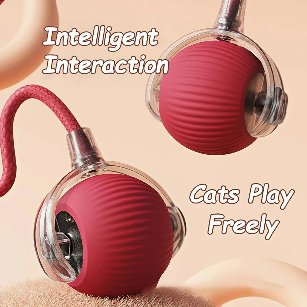 MeowMotion 2.0 – Interactive Cat Toy